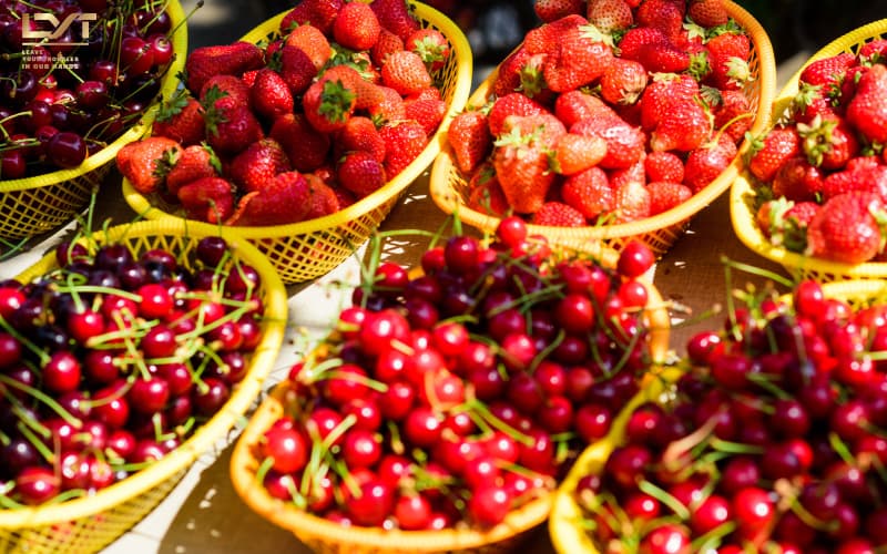 Thủ tục công bố thực phẩm nhập khẩu